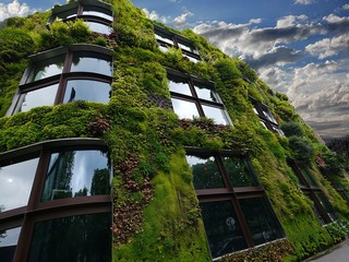 Très tendance, l'habillage d'un mur par de nombreuses plantes, offre un décor naturel et un effet dépolluant qui séduisent de plus en plus.