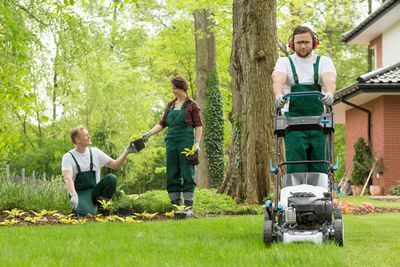 Prix moyens pratiqués par les jardiniers professionnels