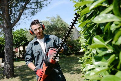 Prix pour la taille d'une haie